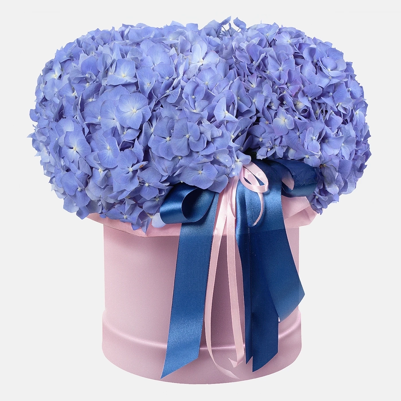 Hydrangea Box