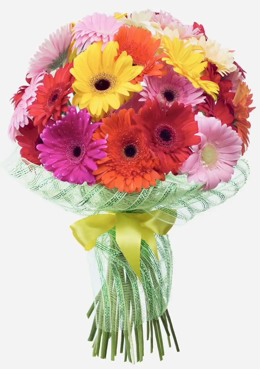 31 Gerberas