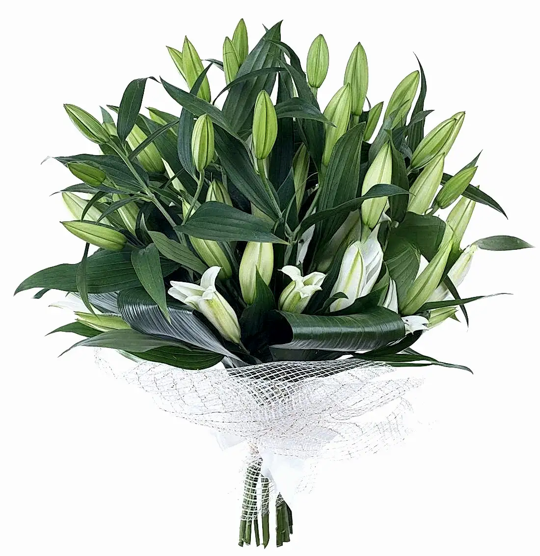 Bouquet of 12 Lilies