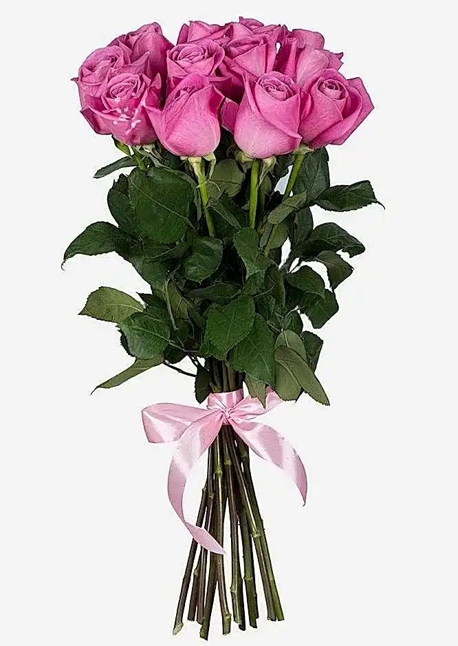 11 Pink Roses