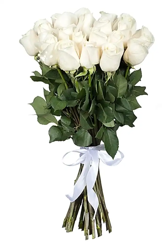 White Roses