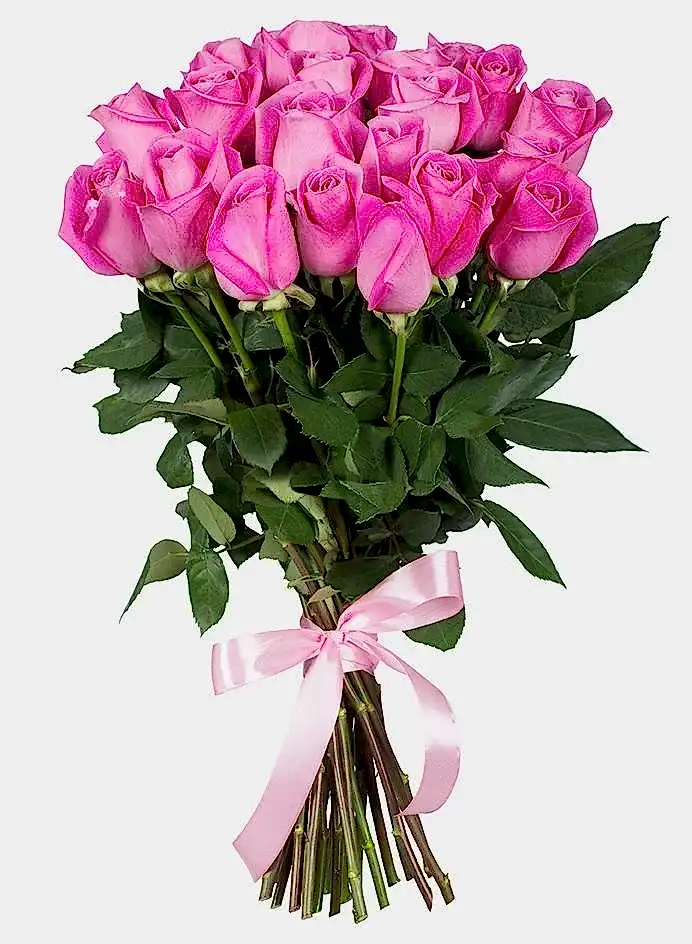 Pink Roses