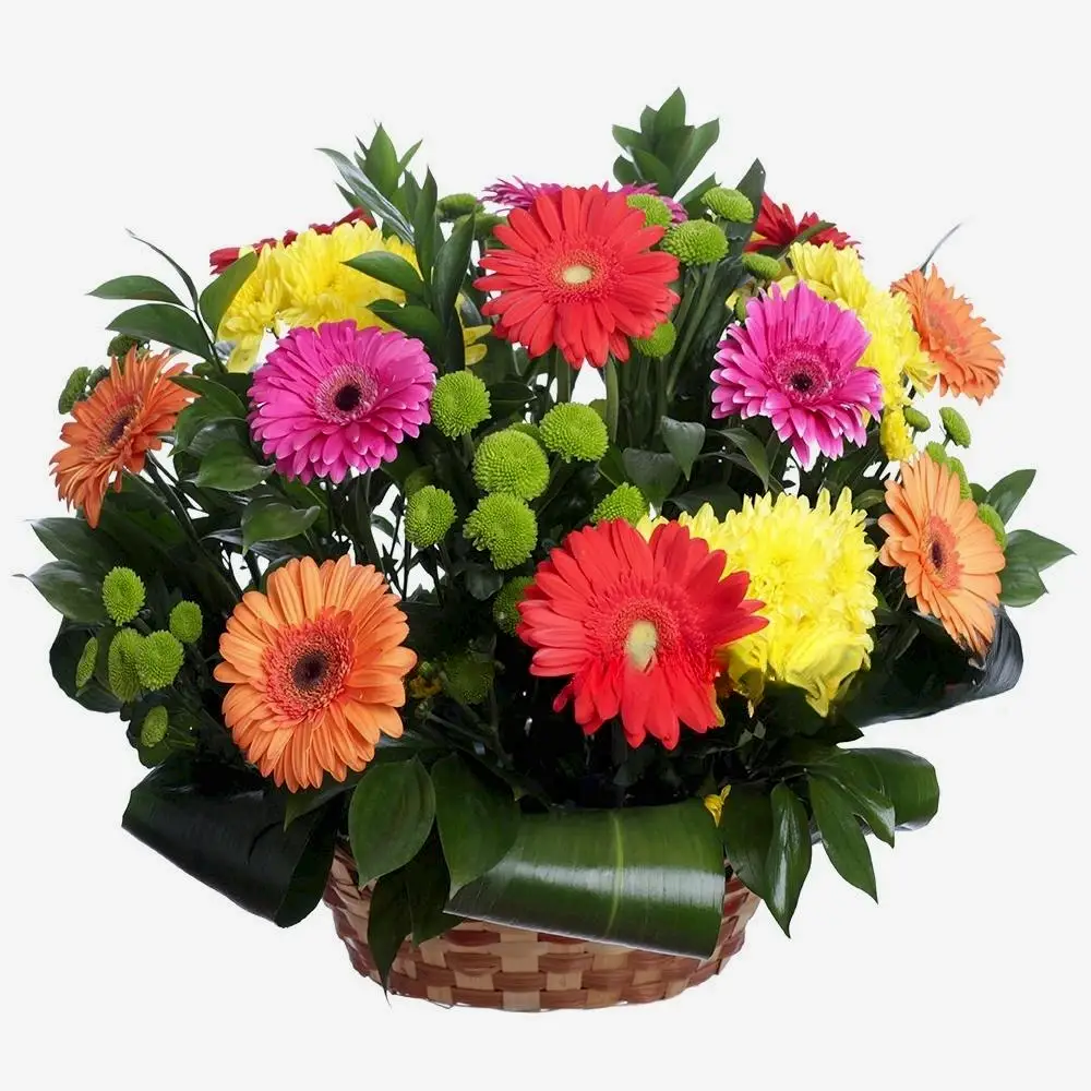 Basket with Gerberas