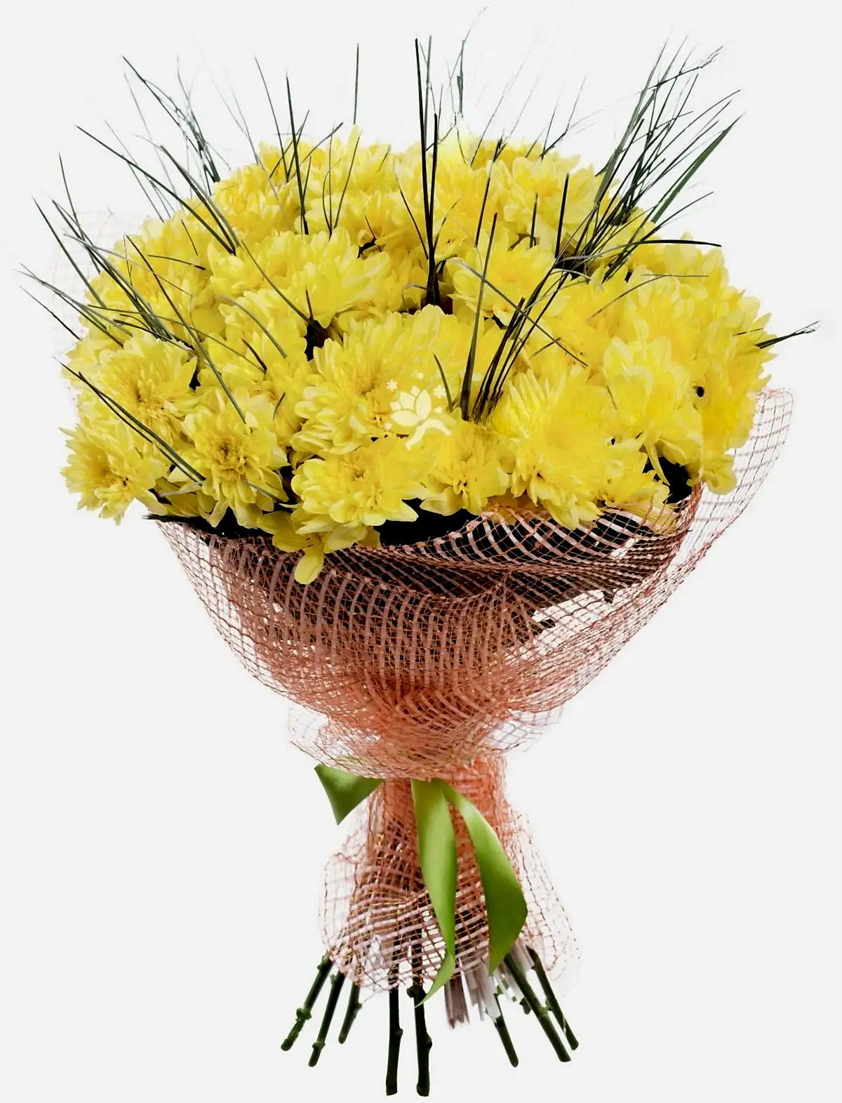 12 Yellow Сhrysanthemums