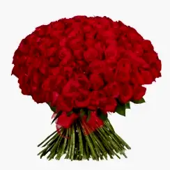 150 Red Roses