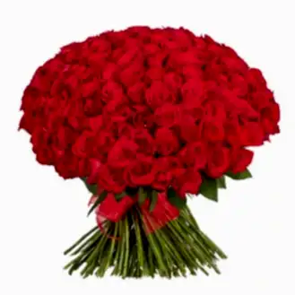 150 Red Roses