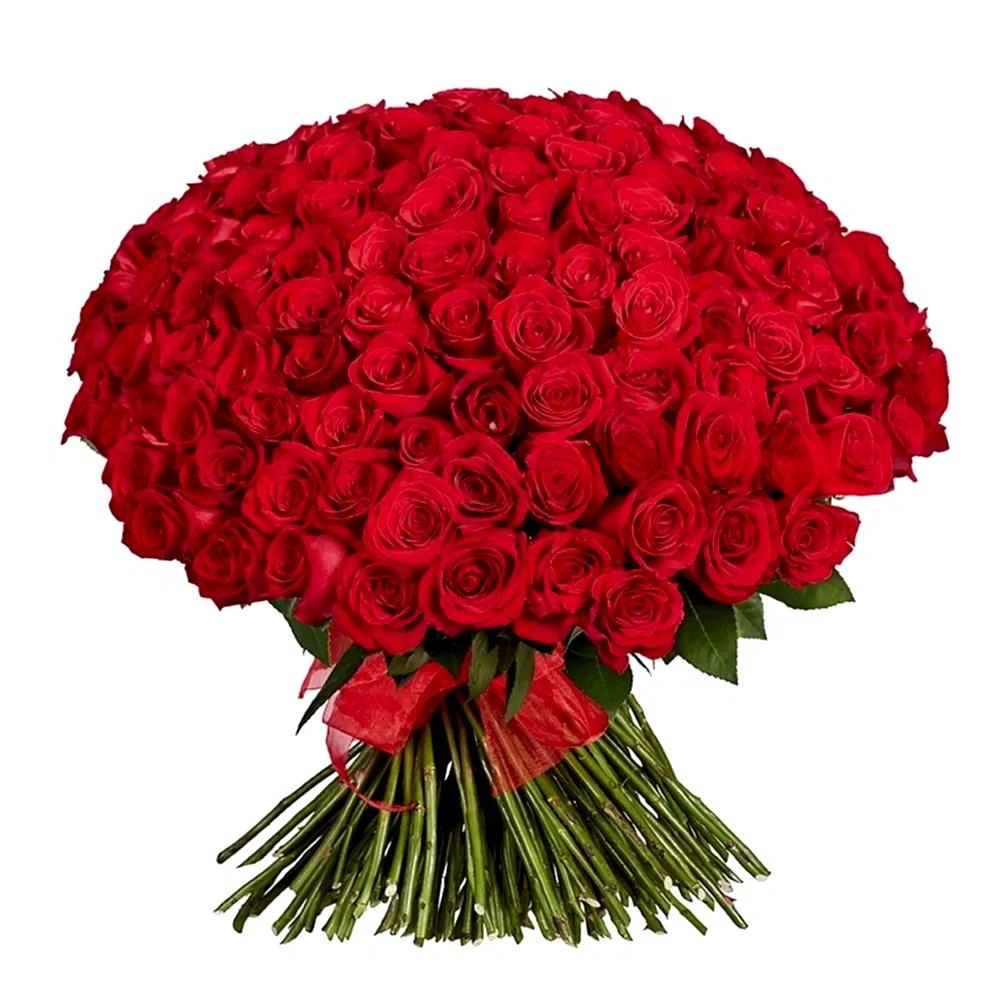 150 Red Roses