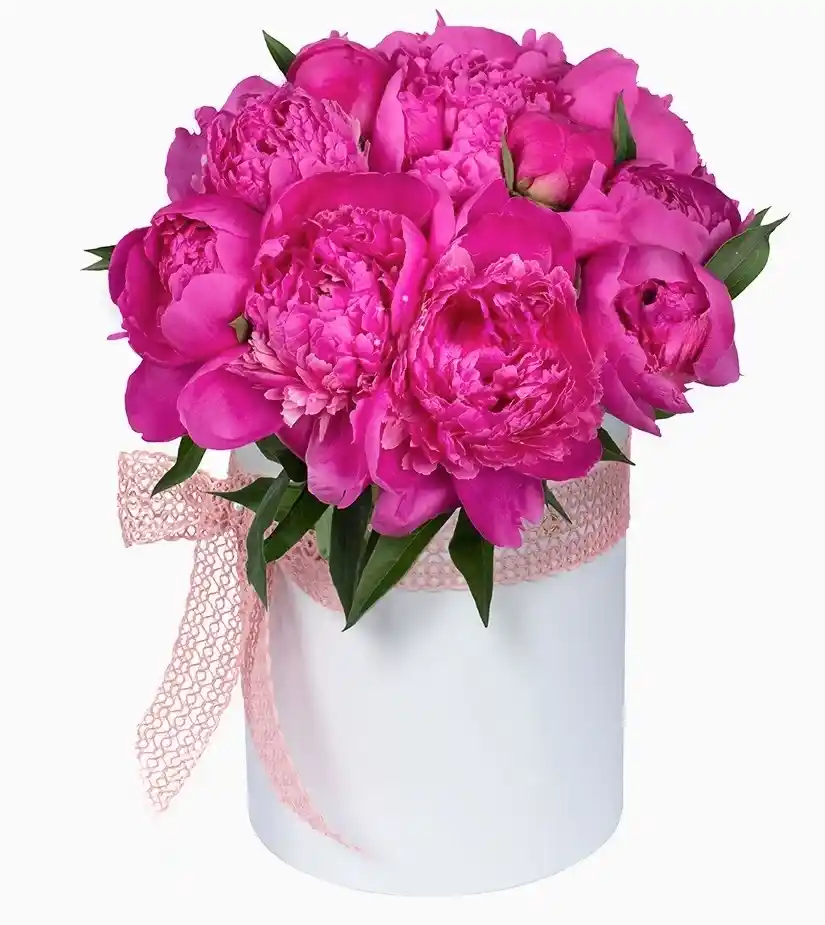 Peonies Box